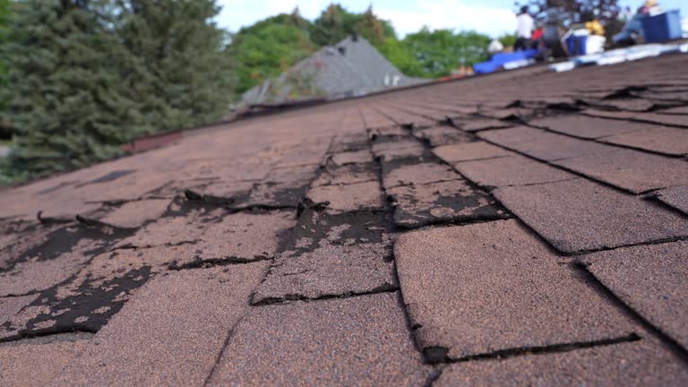 Best Rubber Roofing (EPDM, TPO)  in Steiner Ranch, TX